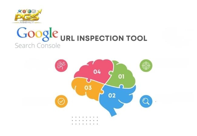 Các tính năng quan trọng trong Google Search Console URL Inspection Các tính năng quan trọng trong Google Search Console URL Inspection