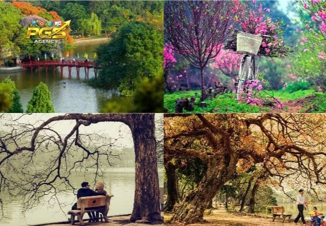 Đặc Điểm Thị Trường Đà Nẵng Ảnh Hưởng Đến SEO Ra Sao? Đặc Điểm Thị Trường Đà Nẵng Ảnh Hưởng Đến SEO Ra Sao?