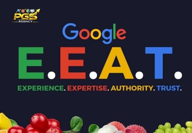 Website Nên Tối Ưu Thế Nào Trước Các Thuật Toán SEO? Website Nên Tối Ưu Thế Nào Trước Các Thuật Toán SEO?