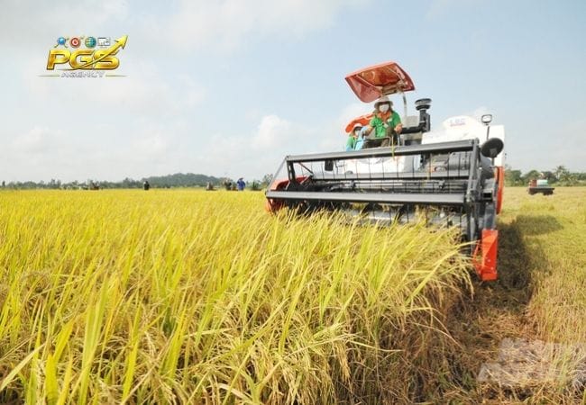 Đồng Tháp Mới Làm Thay Đổi Cách Doanh Nghiệp Nên Làm SEO Đồng Tháp Mới Làm Thay Đổi Cách Doanh Nghiệp Nên Làm SEO