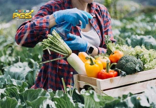 Gia Lai Mới Mở Ra Những Thị Trường Tìm Kiếm Nào? Gia Lai Mới Mở Ra Những Thị Trường Tìm Kiếm Nào?