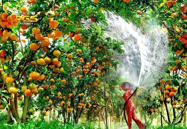 Vĩnh Long Mới Tạo Ra Một Thị Trường Tìm Kiếm Rộng Hơn Như Thế Nào? Vĩnh Long Mới Tạo Ra Một Thị Trường Tìm Kiếm Rộng Hơn Như Thế Nào?